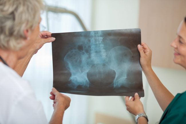 orthopaedic-anatomy